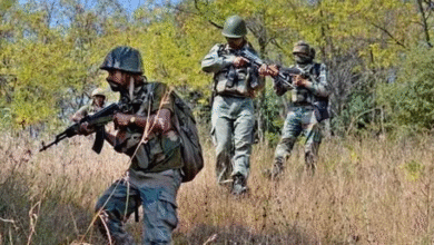 Photo of नक्सली प्रभावित राज्यों में CRPF ने छह साल में बनाई 229 अग्रिम सुरक्षा चौकी